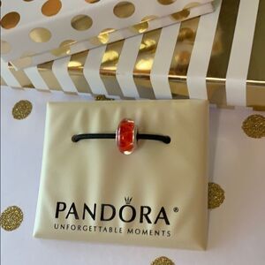 PANDORA Murano Glass Charm Authentic Coral looking glass Collectors Retired